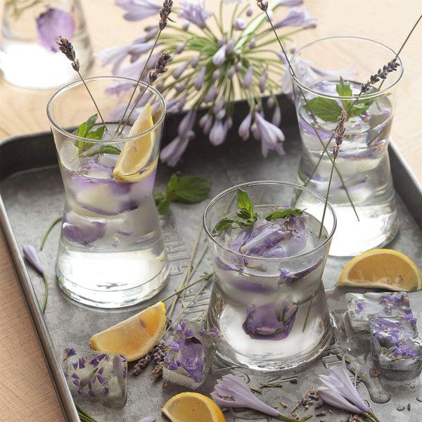 Nicola Spring 350ml Derin Highball Glasses - Pack Of Six