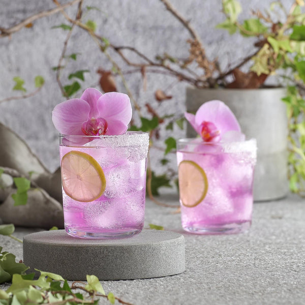 Nicola Spring 360ml Assos Whisky Glasses - Pack Of Six