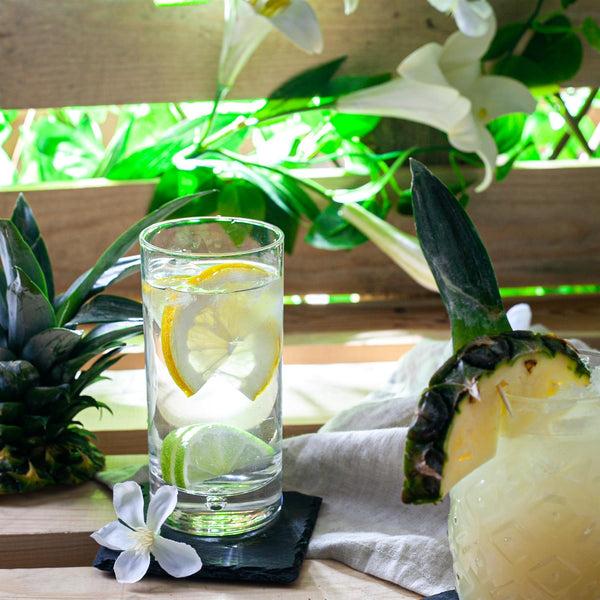 Nicola Spring 375ml Barglass Highball Glasses - Pack Of Six