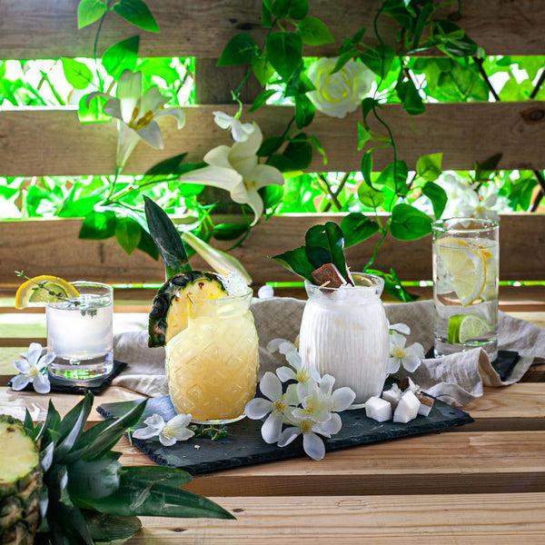 Nicola Spring 375ml Barglass Highball Glasses - Pack Of Six