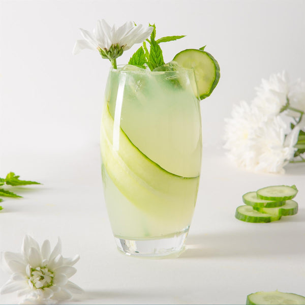 Nicola Spring 510ml Empire Highball Glasses - Pack Of Six