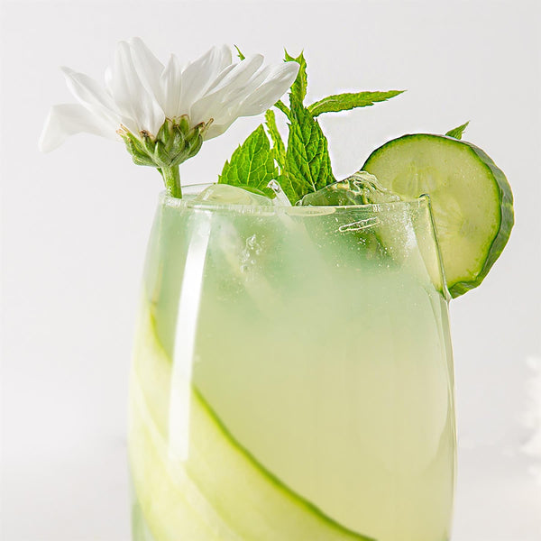 Nicola Spring 510ml Empire Highball Glasses - Pack Of Six