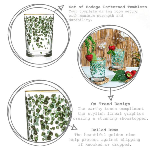 Nicola Spring 520ml Green Leaf Bodega Highball Glasses - Pack Of Six
