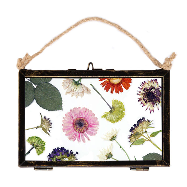 nicola spring 6" x 4" Black Hanging Metal Photo Frame