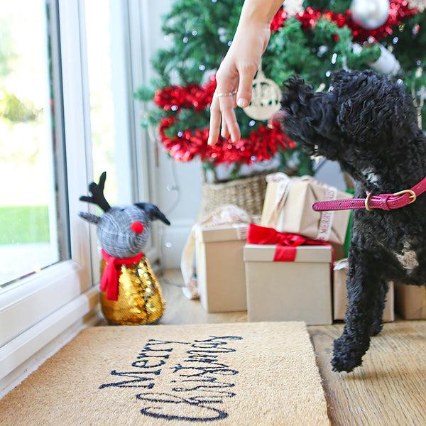 Nicola Spring 60cm X 40cm Merry Christmas Coir Door Mat