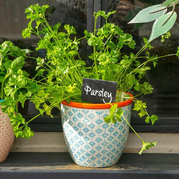 Nicola Spring 6cm X 12cm Slate Plant Markers - Pack Of Six