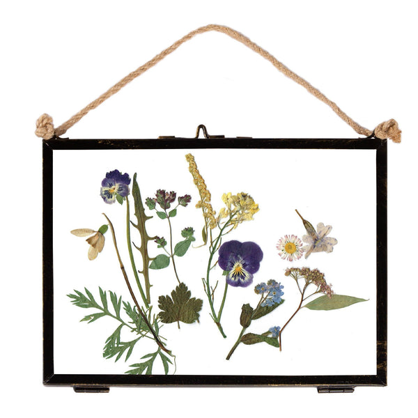 nicola spring 7" x 5" Black Hanging Metal Photo Frame