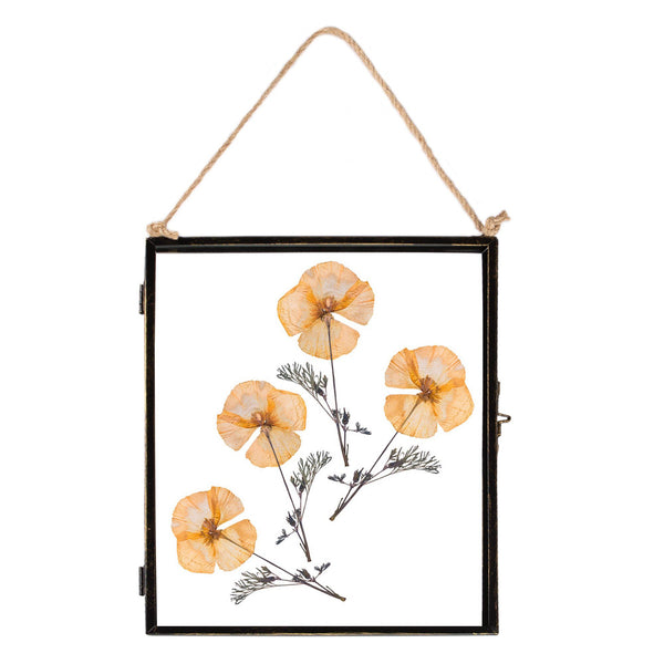 nicola spring 8" x 10" Black Hanging Metal Photo Frame