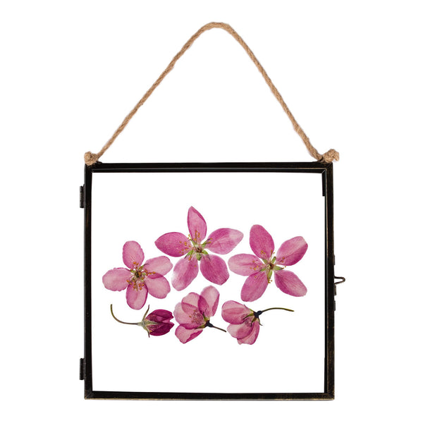 nicola spring 8" x 8" Black Hanging Metal Photo Frame