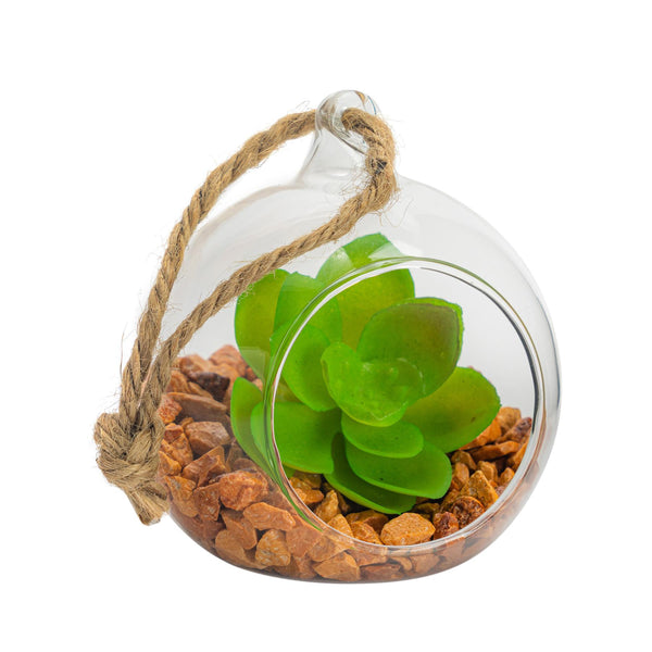 nicola spring 8cm Hanging Glass Succulent Terrarium