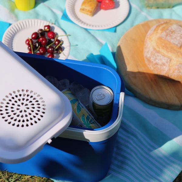 Nicola Spring 10L 12V Electric Cool Box