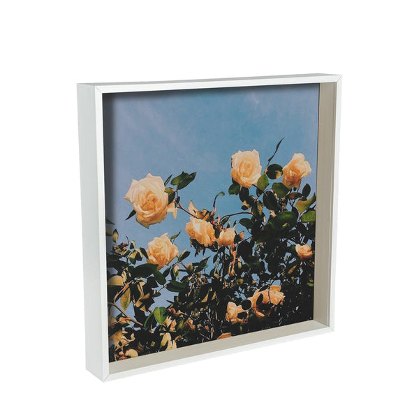 nicola spring 16" x 16" 3D Deep Box Photo Frame