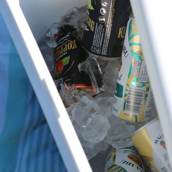 Nicola Spring 18L Cool Box