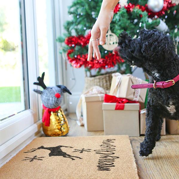 Nicola Spring 60cm X 40cm Reindeer Coir Door Mat