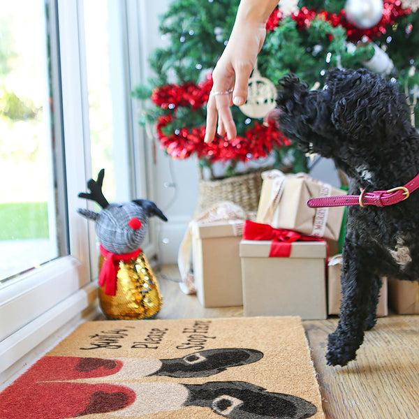 Nicola Spring 60cm X 40cm Santa Coir Door Mat