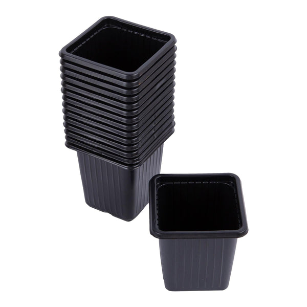 nicola spring Seed Pots - Pack of 15