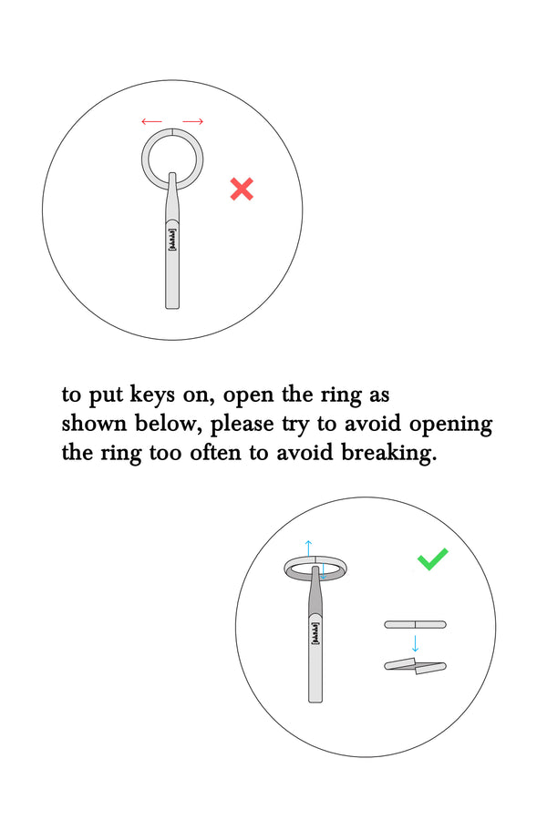 Niels Peeraer 2020 Hook Keyring