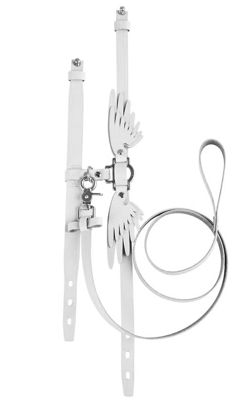 Niels Peeraer MADE TO ORDER/ Pet Wings Harness