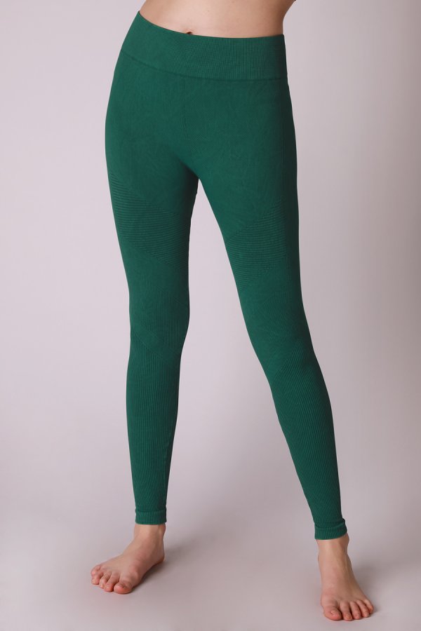 nikibiki Premium Vintage Moto Jeggings