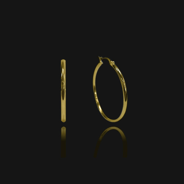 nikita by niki Venice Small Hoop Earrings - Gold