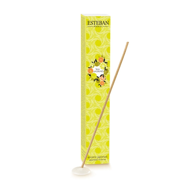 Nippon Kodo ESTEBAN - TERRE D'AGRUMES - Japanese Style Incense 40 Sticks