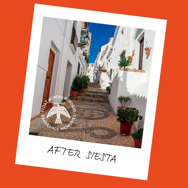 Nippon Kodo FRAGRANCE MEMORIES - FM 04 After Siesta / Spain 15 Sticks (Orange Pomegranate Neroli)