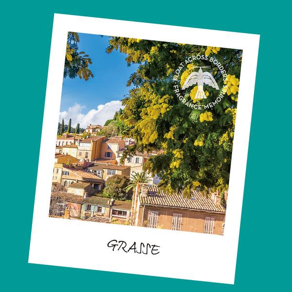 Nippon Kodo FRAGRANCE MEMORIES - FM 05 Provence Mimosa / France 15 Sticks (Mimosa Violet Green Muscat)