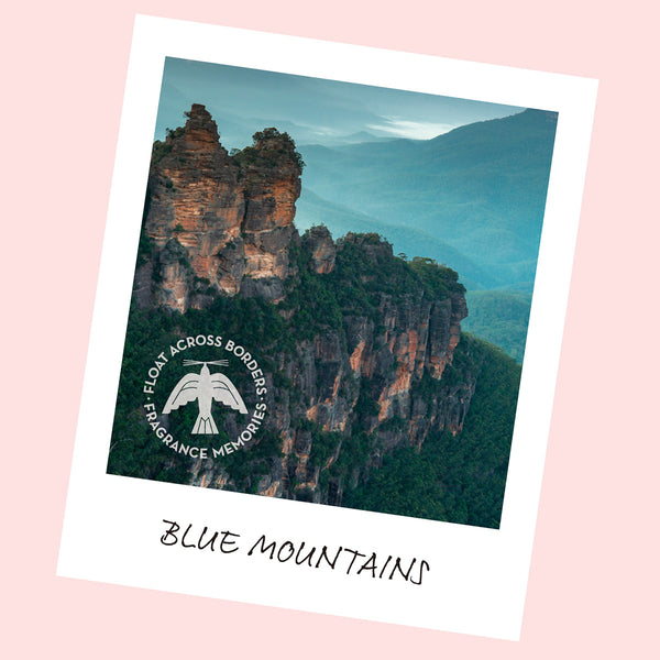 Nippon Kodo FRAGRANCE MEMORIES - FM 10 Eucalyptus Mountains / Australia 15 Sticks (Eucalyptus Blackcurrant Cedar)