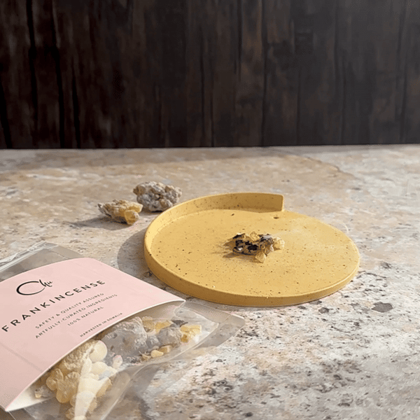 Nippon Kodo CHIE - Frankincense Resin 30g