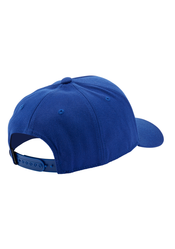 Nixon Deep Down Snapback | Royal / Royal