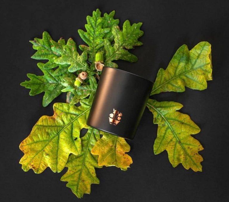 Noble Isle Lightning Oak Luxury Scented Candle