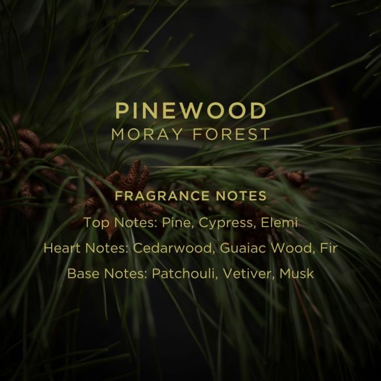 Noble Isle Pinewood Luxury Reed Diffuser