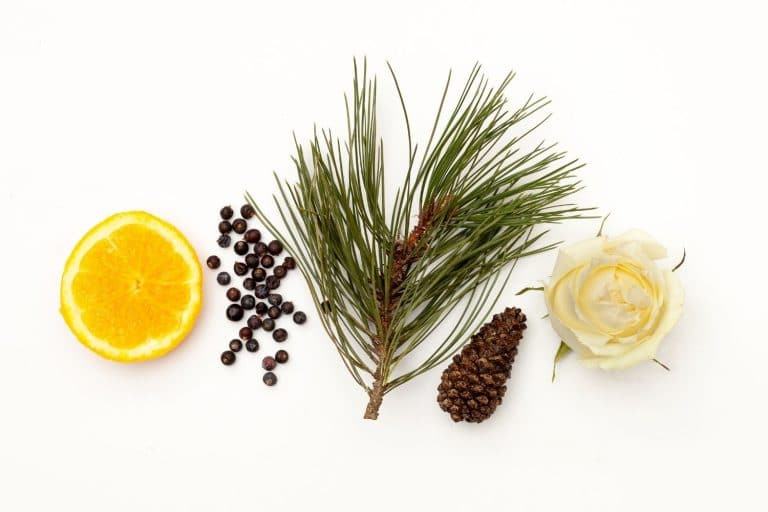 Noble Isle Scots Pine Luxury Conditioner