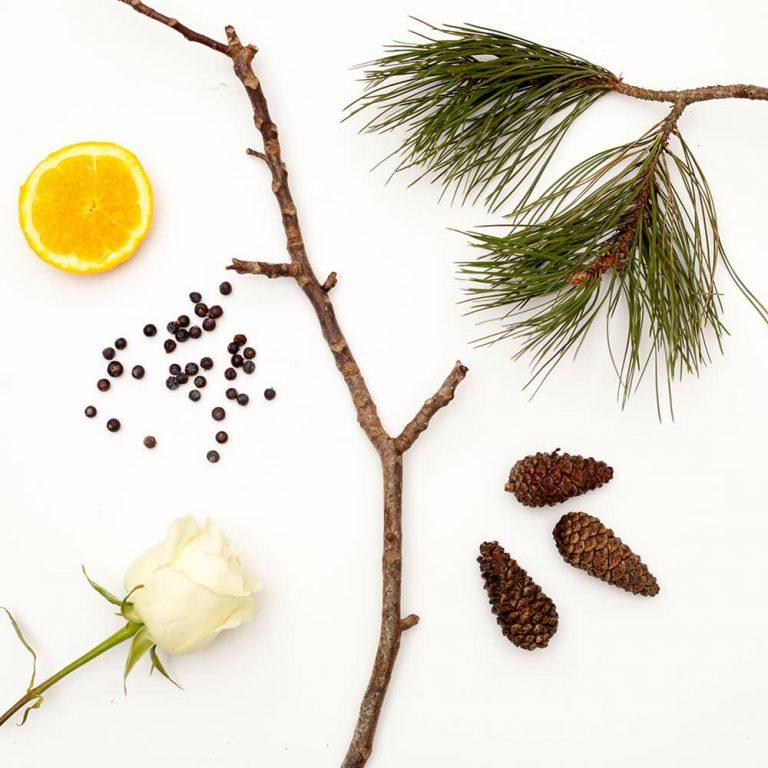 Noble Isle Scots Pine Luxury Shampoo