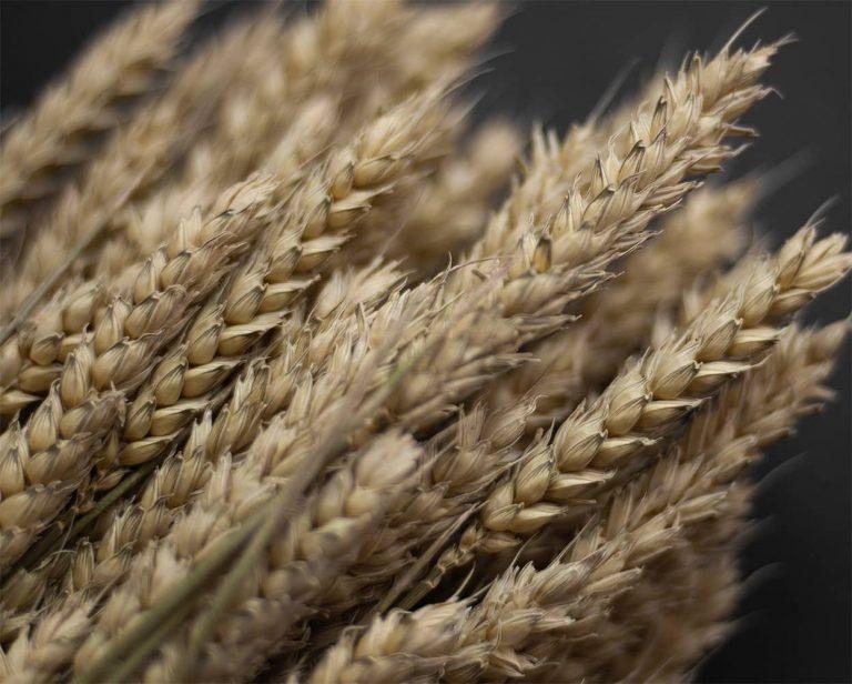 Noble Isle Whisky & Water Luxury Scented Candle