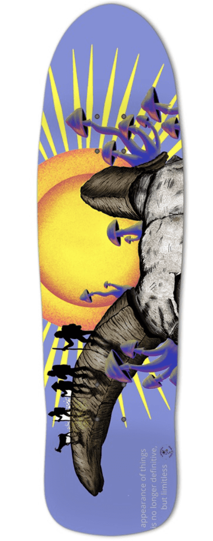 nomadic state of mind Sk8 Retro Desert Nomad