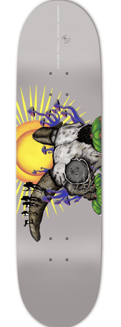 nomadic state of mind Sk8 Desert Nomad Gray Complete