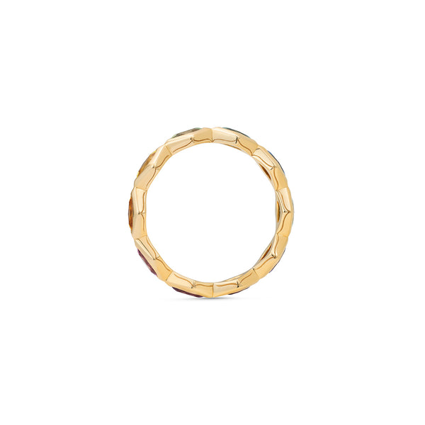 Noor Fares Noor Fares Ajna Rainbow Band