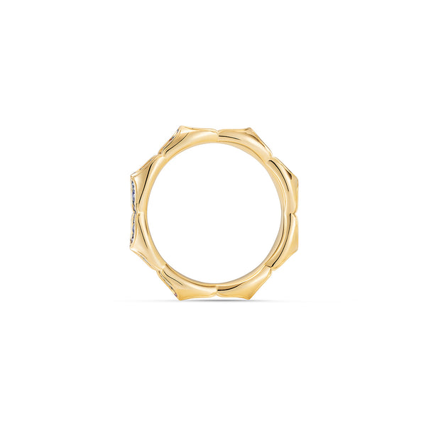 Noor Fares Noor Fares Nirvana Rainbow Band