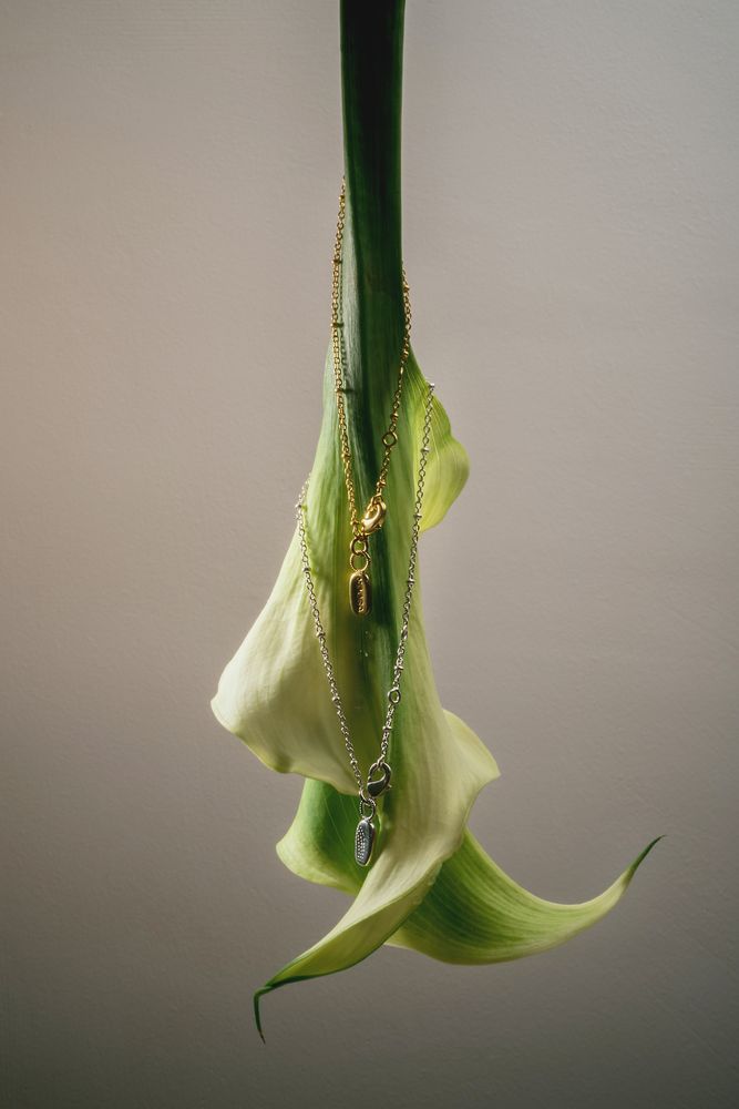 NOOSA Ball Curb Chain Bracelet Gold-plated Brass