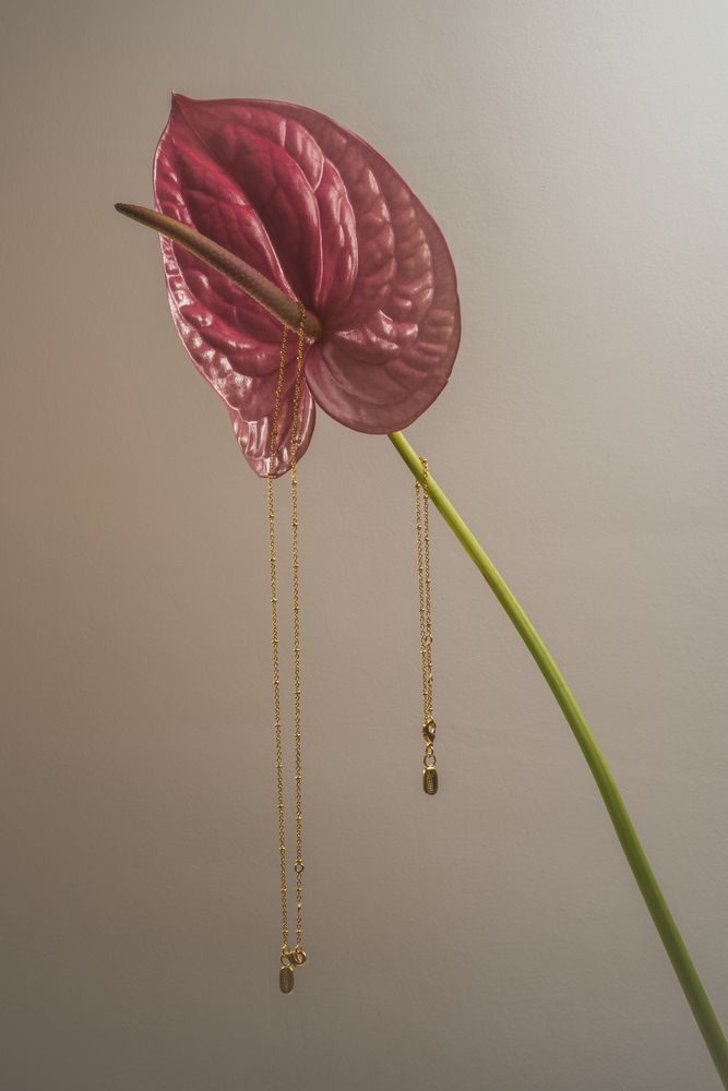 NOOSA Ball Curb Chain Bracelet Gold-plated Brass