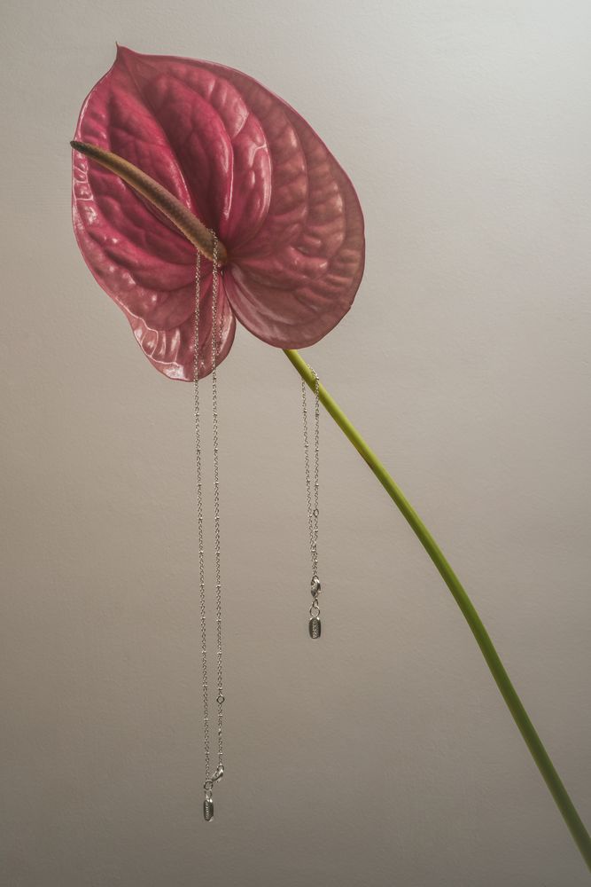 NOOSA Ball Curb Chain Bracelet Silver-plated Brass