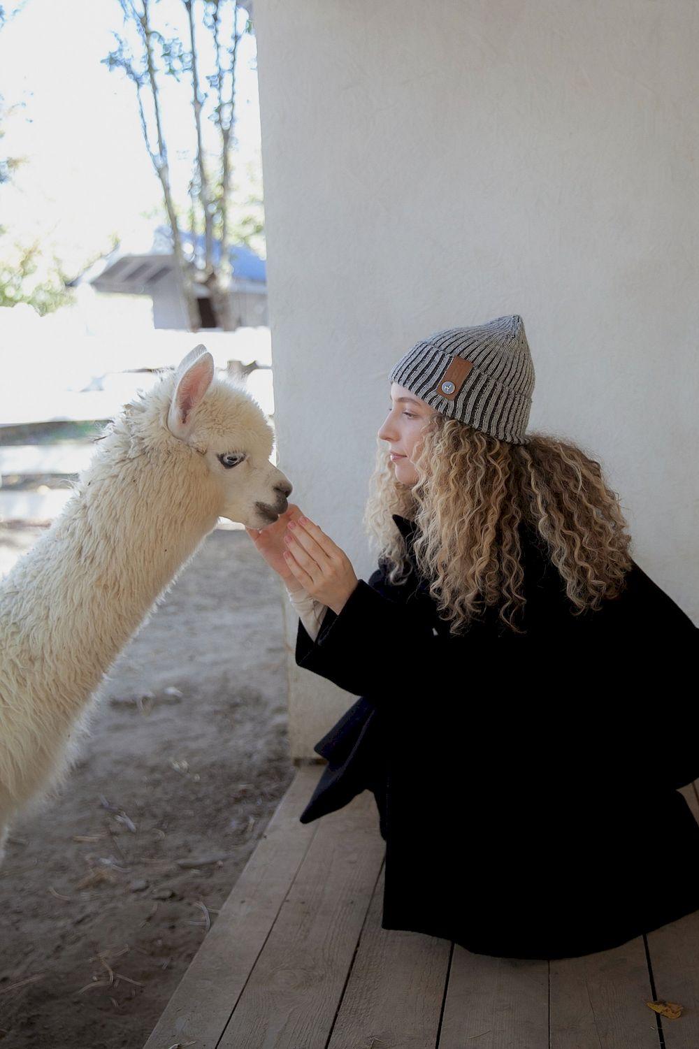 NOOSA Pachamama alpaca beanie hat grey