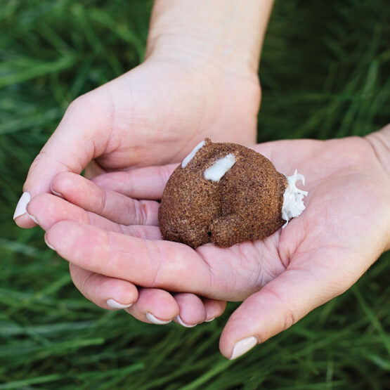 Nordic Ware Baby Bunny Bites Cakelet Pan