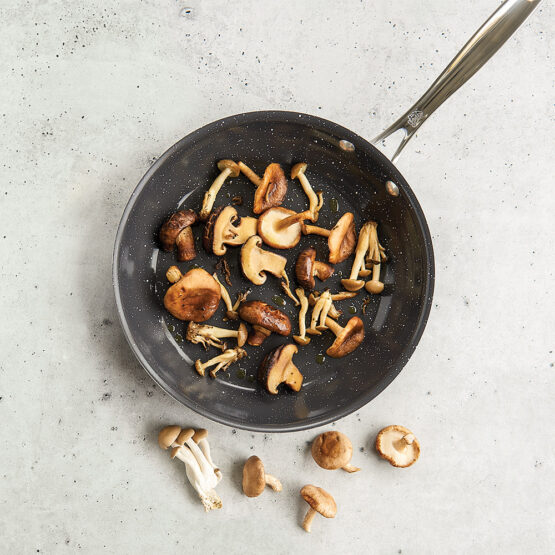 Nordic Ware Basalt 10 Inch Nonstick Skillet Pan