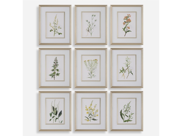 norrwood Uttermost Art Botanical Flowers Framed Prints Set/9 32339 at Norwood Furniture