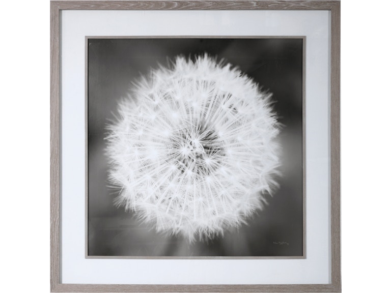 norrwood Uttermost Art Dandelion Seedhead Framed Print 33711 at Norwood Furniture