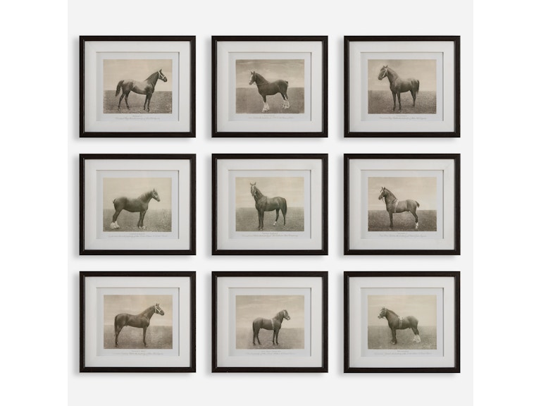 norrwood Uttermost Art Equine Dynasty Framed Prints Set/9 32343 at Norwood Furniture