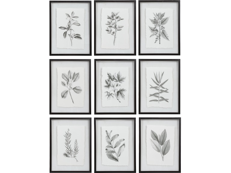 norrwood Uttermost Art Farmhouse Florals Framed Prints Set/9 41617 at Norwood Furniture