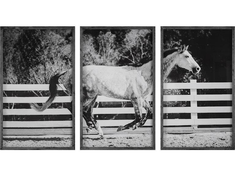 norrwood Uttermost Art Galloping Forward Equine Prints Set/3 32279 at Norwood Furniture